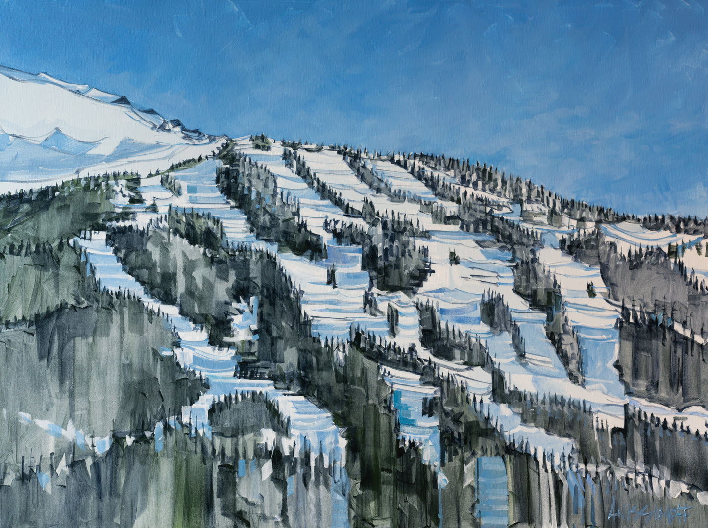 Blackcomb Vantage