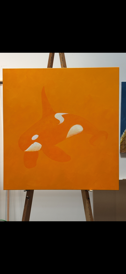 Creamsicle Orca